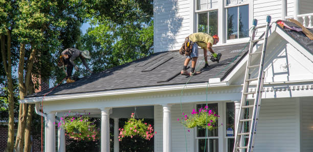 Best Roof Gutter Cleaning  in East Foothills, CA
